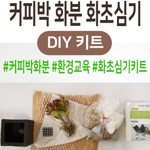 커피박 화분 화초심기 키트_썸네일