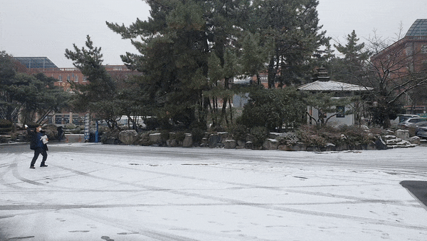 5.gif