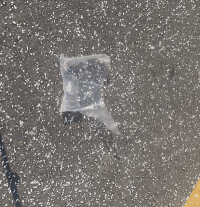 6.gif